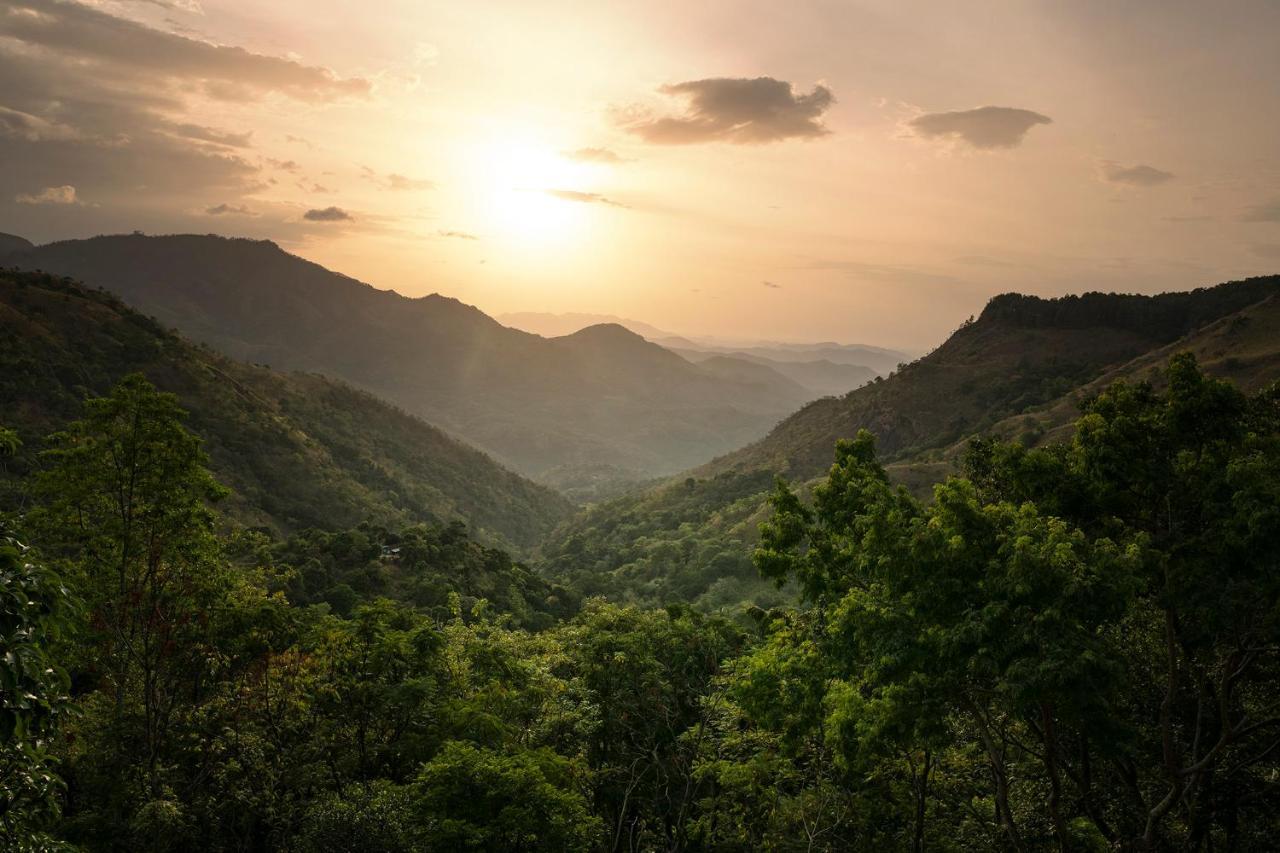 Roseland Cottages Bandarawela Kültér fotó