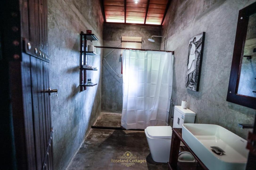 Roseland Cottages Bandarawela Kültér fotó