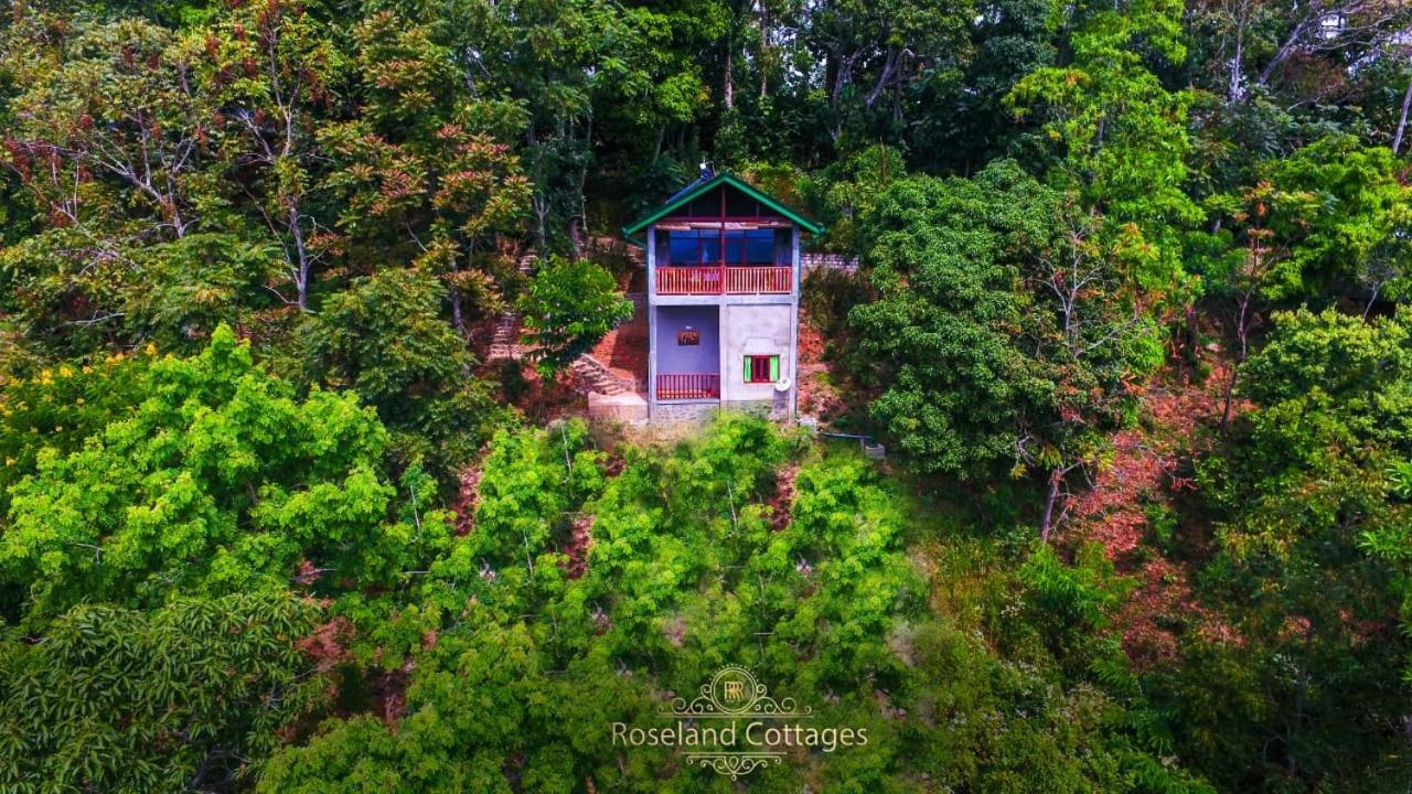 Roseland Cottages Bandarawela Kültér fotó