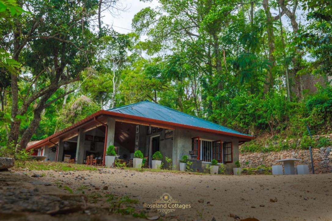 Roseland Cottages Bandarawela Kültér fotó