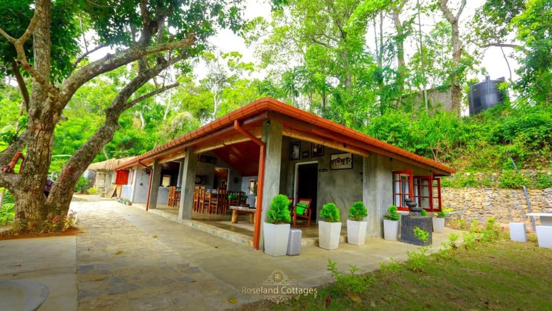 Roseland Cottages Bandarawela Kültér fotó