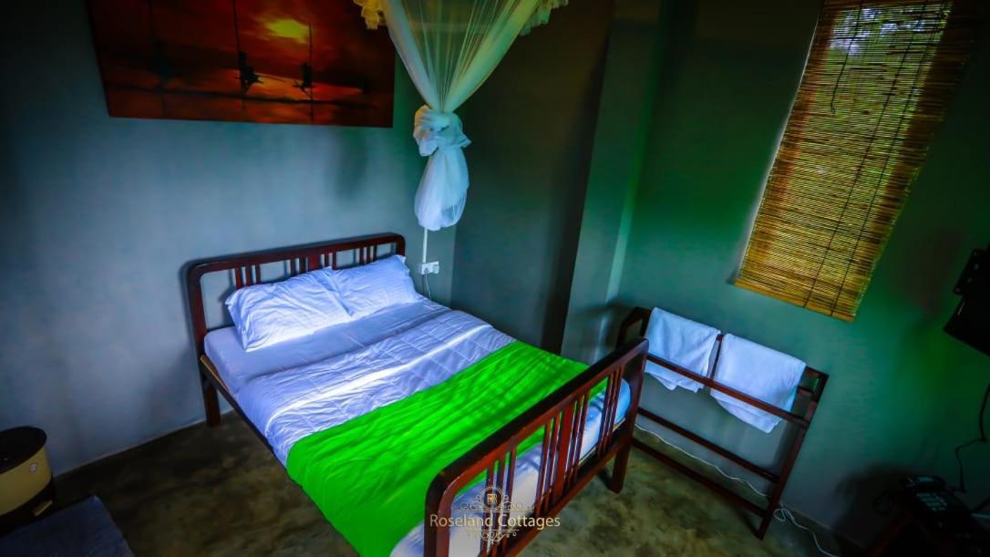 Roseland Cottages Bandarawela Kültér fotó